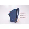 Raymei Fujii FY FY379K Pen Case, Detection, Navy