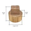 Thrifco 5318092 1/2 Inch Brass Plug Fitting