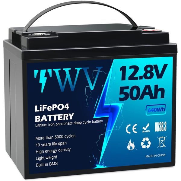 12V 50Ah Lithium Battery LiFePO4 Deep Cycle 50A BMS for Salor RV Trolling Motor