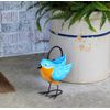 Bluebird Watering Can