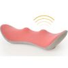 Lower Back Relief Ball Cushion