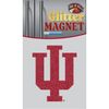 Indiana Temporary Tattoo and Fan Tailgate Bundle