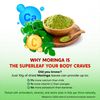Moringa, Turmeric, Ginger Root, Ceylon Cinnamon, Boswellia - Made in USA