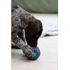 Petface Latex Blackberry Soft Chew Dog Toy, Small