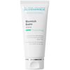 Schramek Blemish Balms Snow 1.4 fl oz (40 ml)