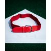 Rawlings Adjustable Belt | One Size Fits Most (18"-36") | Scarlet Red
