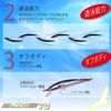 DUEL TG Minnow 105F 105mm Floating Chart Head Mullet Magnet