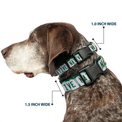 Buckle-Down Plastic Clip Collar - Colorado License Plate NATIVE - 1" Wide - Fits 11-17" Neck - Medium