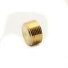 Thrifco 5318119 3/4 inch Brass Countersunk Plug