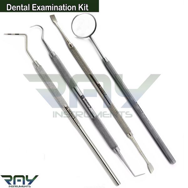 Dental Examination Kit Probe Explorer Calculus Plaque Remover Dentist Tools