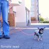 skipdog. Simple Lead (Chihuahua Small Dog Thin Lead) , browns