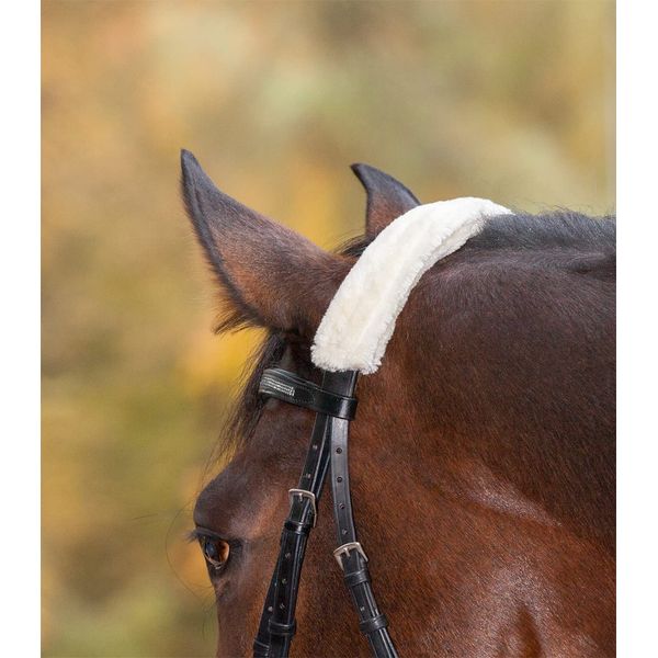 WALDHAUSEN Nose or Neck Protector Cream