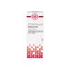 DHU Abrotanum D12 Dilution, 20 ml Lösung