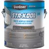 AP-264 Series Elastomeric Roof Patch, White, Liquid, 1 gal, Pail
