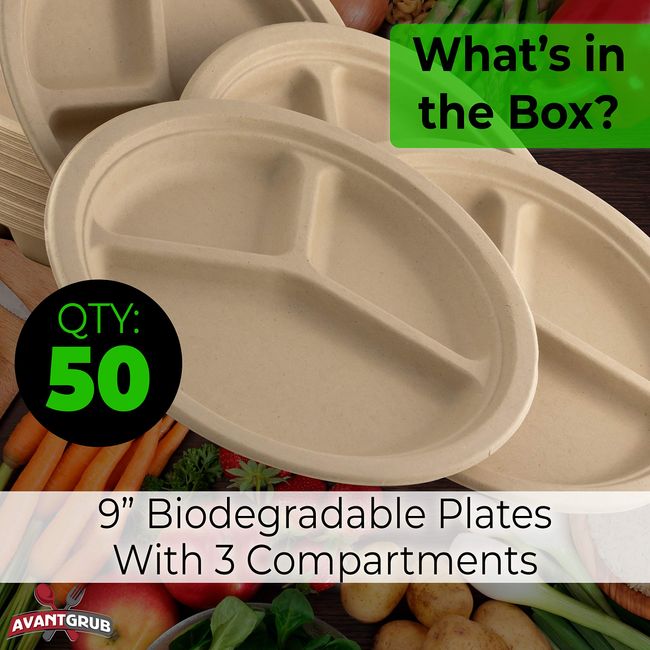 100% Compostable Disposable Paper Plates Bulk [9 50 Pack