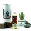 Pretty Valley Home Cactus Ceramic Diffuser Combo (Sweet Orange Cedar) 200ml