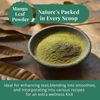 Dried Mango Leaves 2.6oz, Hojas De Mango, Diabetic, Immune & Digestive Tea