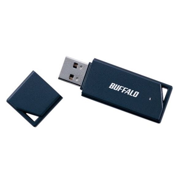 BUFFALO 2GB RUF2-K2GE-BK Value Type USB Memory