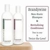 Brandywine Non Static Shampoo & Revitalizing Conditioner 16 Ounce., Value Pack Bundle 2 items