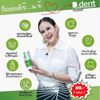 12x D. Dent Herbal Toothpaste Peppermint Formula Fluoride Fresh Breath Sensitive