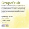 Aura Cacia Essential Oil, Grapefruit 0.50 oz