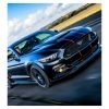 Activity Superstore Ford Mustang Blast