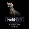 FortiFlora Canine Probiotic Chewable Tablets, 90 Tablets