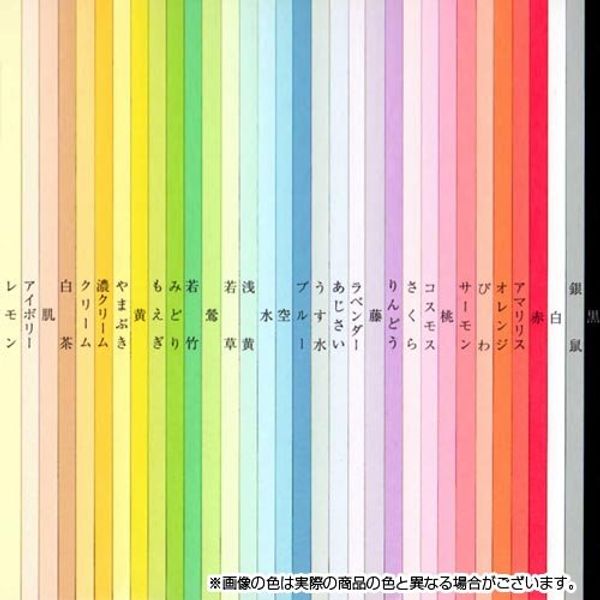 Color Simulated Paper Midweight Opening 10 Sheets 若竹 130 – 546
