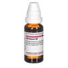DHU Abrotanum D6 Dilution, 20 ml Lösung