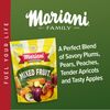 Mariani Fancy Mixed Fruit, 32oz,1 Pack