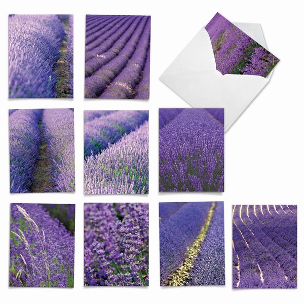 The Best Card Company 10 Assorted Thank You Notes Boxed Set 4 x 5.12 Inch with Envelopes (10 Designs, 1 Each) LAVENDER FIELDS FOREVER: 10 Assorted 'Thank You' Note Cards w/Matching Envelopes. M3017