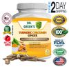 Ginger Turmeric Curcumin Tumeric with Black Pepper 100 caps