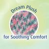 Cloudz - (2 Pairs! Dreamy Blue Soft Plush Natural Aloe Vera Spa Socks - (Assorted Solid & Patterned)