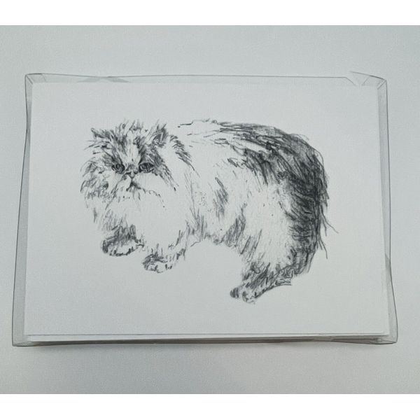 Cat Artist Sketch Greeting Cards Odd Balls 10 Pack Blank Inside USA Made