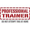 CafePress Professional Trainer 4" Round MDF Wood Ornament