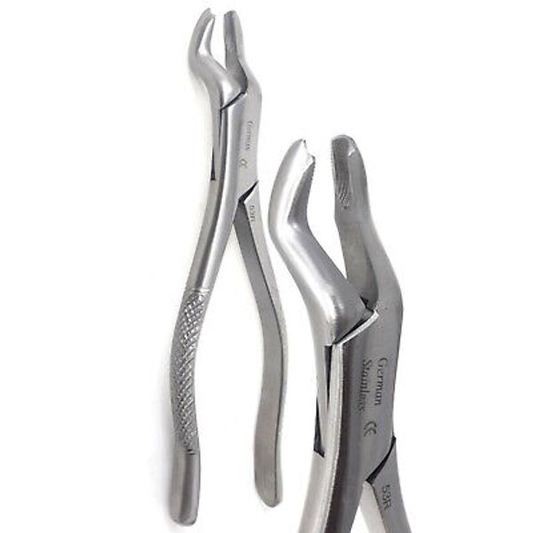 NEW Top Quality Heavy Duty Extracting Forceps Dental Surgical Instruments # 53R