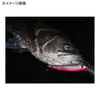 APIA BALEINE 125F #08 Vitamin Cut Holo