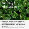 Asian Centella Serum