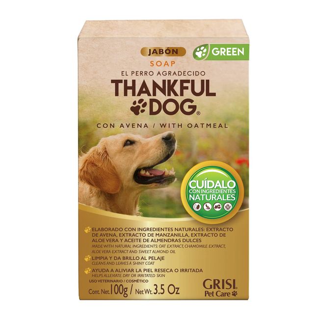 Soap Thankful Dog