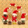 LOOGI Mini Santa Hats Santa Scarf 10pcs, Small Santa Hats Christmas Scarf for Wine Bottles Crafts Ornaments Decor