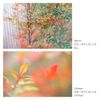 NiSi 58mm Close Up Lens NC Kit