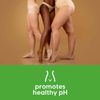 NutraBlast Vaginal Tea Tree Oil Suppositories (12 Count) Relieves Dryness