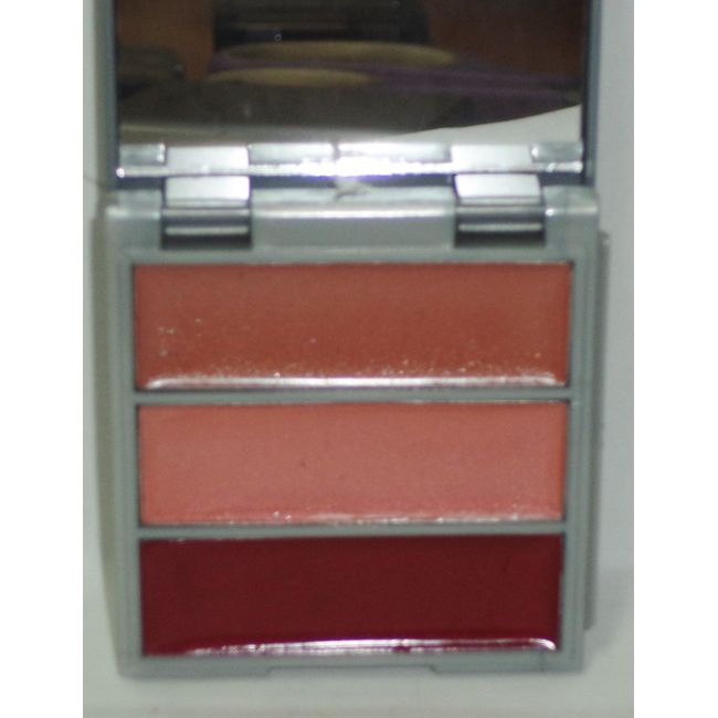 MARIO DE LIUIGI Make Up Your Makeup Trio LIP Gloss In Mirrored Compact Pinks