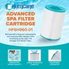 Hurricane 2 Pack HF6H960-01 Advanced Pool and Spa Filter Cartridge Replacement