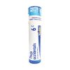 Boiron Thuja Occidentalis 6C 80 Pellets Homeopathic Medicine for Warts