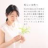Juniper (Berry) 10ml NATURELLE Natural Essential Oil