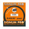 Signum Pro Blackline Power Tornado Tennis String - 12m set - 1.23mm