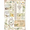 Stamperia International Rice Paper-Daisy, Various, A4