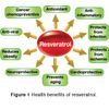 Grape Seed Extract - RESVERATROL Supreme Complex - Slowing the aging process - 1
