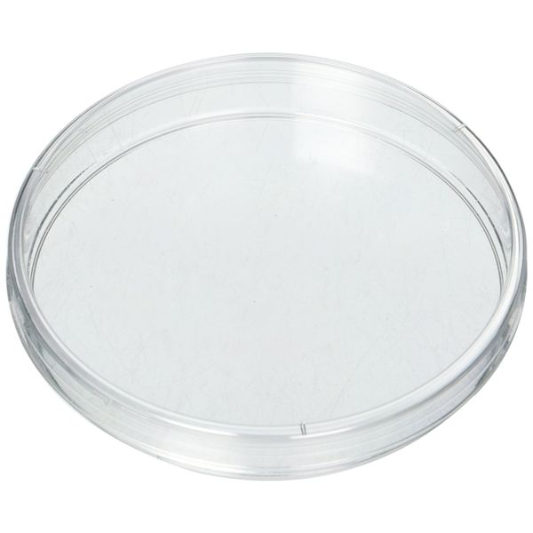 100mmx15mm Sterilized Petri Dishes with Lids,10 Pack